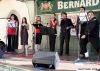 Festival Kotnov 2008