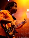 Bohemia Jazz Fest