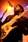 Bohemia Jazz Fest
