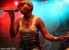 Bohemia Jazz Fest