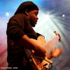 Bohemia Jazz Fest