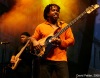 Bohemia Jazz Fest
