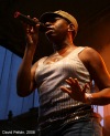 Bohemia Jazz Fest