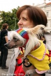 Queer pride festival - Part one
