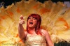 Queer pride festival - Part one