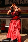 Queer pride festival - Part one