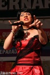 Queer pride festival - Part one