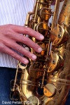 Bohemia Jazz fest - hvězdná Plzeň, funkový Tábor a osudové Budějovice