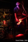 Zeměžluč - punk´s not dead