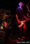 Zeměžluč - punk´s not dead