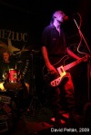 Zeměžluč - punk´s not dead