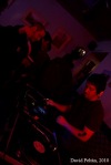 Free Dimension Disco