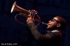 Bohemia Jazz Fest  končil v Budějovicích. Kdo dostal cenu? A jaký vlastně celý festival byl? 