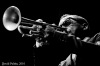 Bohemia Jazz Fest  končil v Budějovicích. Kdo dostal cenu? A jaký vlastně celý festival byl? 
