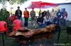 Laskat oslavili narozeniny festivalem, prasetem a dveřmi rumu