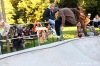 Skateové závody se topily ve slunci. Zúčastnila se i tuzemská špička