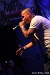 Rapper Ja Rule se nestyděl. Vytáhl holky na podium a ty ho svlékly
