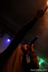 Rapper Ja Rule se nestyděl. Vytáhl holky na podium a ty ho svlékly