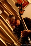 Kořínek, Bárta, Smažík váleli v Jazz Gallery 