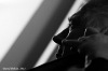 Kořínek, Bárta, Smažík váleli v Jazz Gallery 