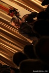 Kořínek, Bárta, Smažík váleli v Jazz Gallery 