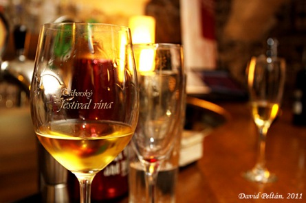 Táborský festival vína má za sebou první týden. Náročný i vtipný