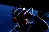 Mighty Sounds 2011: Rozpálenou neděli zchladil déšť. Vrcholem byli Pennywise
