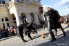 Táborská setkání 2011: Vltava, Traband a úplný závěr festivalu patřil Anna K