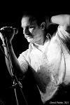 Kill The Dandies! pokřtili novou desku. Vypomohli excelentní britové Lark 