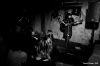 Karolína Kamberská hrála na Housově mlýně Hořkosladce. Street band byl na Sadech