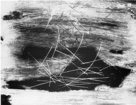 Fotograf Gallery vystavuje strhující experimentální práce Běly Kolářové