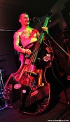 Koffin Kats - řádné psychobilly ve Velbloudu