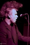 Kaliforňané to ve Velbloudu rozjeli v rytmu romantického psychobilly