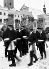 Masky chodily v Českých Budějovicích i ulicemi Krumlova