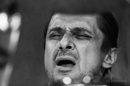 Psí vojáci předložili návštěvníkům Modrých dveří depresi v bílých rukavičkách