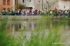 Budějovický Majáles 2013: Hudba, literatura, výtvarno