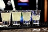 Na V.I.P. noci v Apollu to žilo do rána