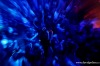 Welcome to the Jungle no.11: Zářil Neonlight, pozadu nebyla ani tuzemská scéna