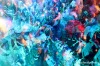 Welcome to the Jungle no.11: Zářil Neonlight, pozadu nebyla ani tuzemská scéna