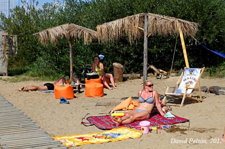 Lipno Fest 2013: Přijeďte si užít letní pohodu s muzikou i filmy na pláže Lipna