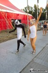 SZIGET FESTIVAL 2013: Quimby v Říši divů, Pendulum a Bingo Players