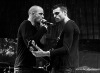 SZIGET FESTIVAL 2013: Divoška Skin, pohodář Alex Clare a démon Nick Cave