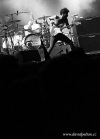 SZIGET FESTIVAL 2013: Něžná Regina, energičtí Ska-P i Biffy Clyro. A blázinec 