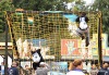 SZIGET FESTIVAL 2013: Sobota byla plná barev a zvučných jmén