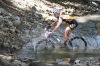 Apex bike fest 2013: Cyklisté se utkali na maratonské trati i v divočině