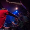 Zvířecí punk! V budějovickém Velbloudu se chvěla zazděná okna