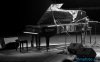 Jihočeský kraj zaplavil Songfest. Oslavy Roku koně si užili Písečtí, Budějovičtí a Krumlovští
