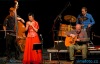 Jihočeský kraj zaplavil Songfest. Oslavy Roku koně si užili Písečtí, Budějovičtí a Krumlovští
