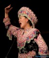 Jihočeský kraj zaplavil Songfest. Oslavy Roku koně si užili Písečtí, Budějovičtí a Krumlovští