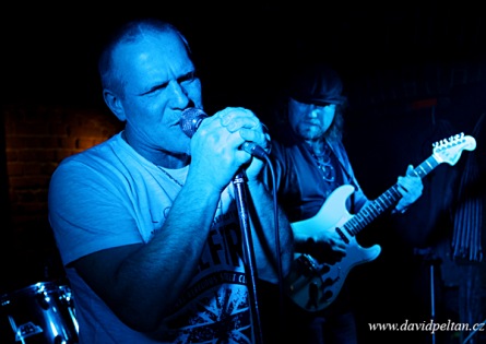 Deep purple, tedy Purple Eye v Bardu
